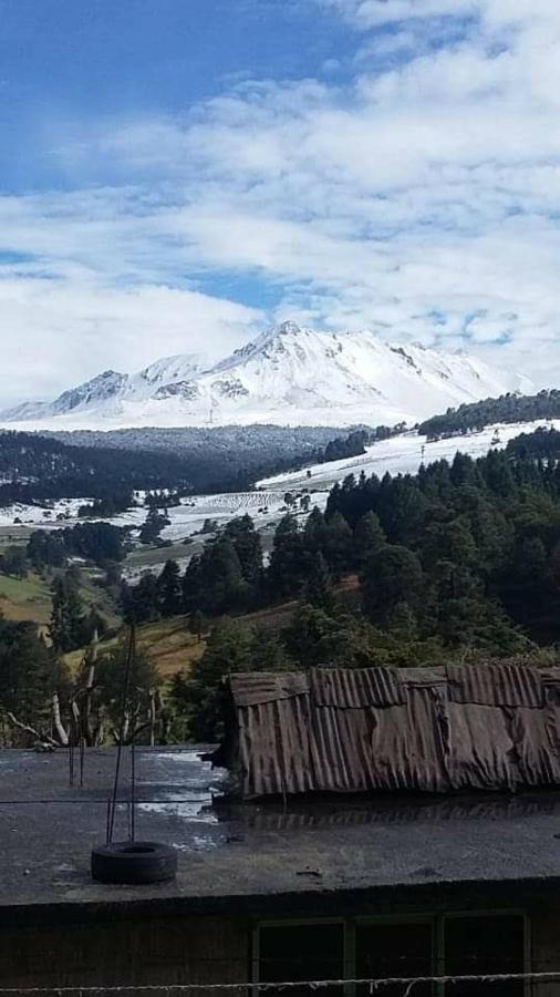 Вилла Toluca Casa Centrica Экстерьер фото